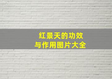 红景天的功效与作用图片大全