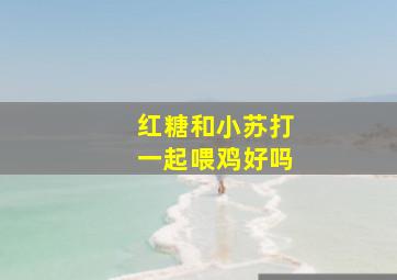 红糖和小苏打一起喂鸡好吗