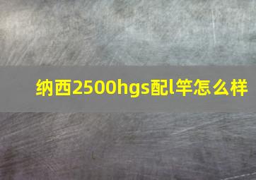 纳西2500hgs配l竿怎么样