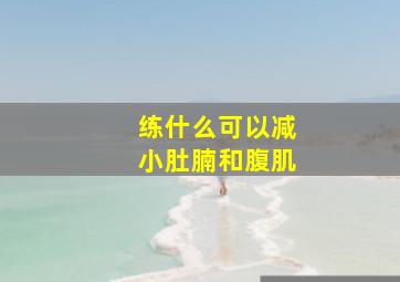 练什么可以减小肚腩和腹肌