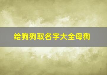 给狗狗取名字大全母狗