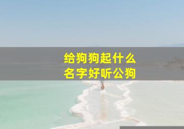 给狗狗起什么名字好听公狗