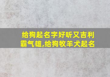 给狗起名字好听又吉利霸气雄,给狗牧羊犬起名