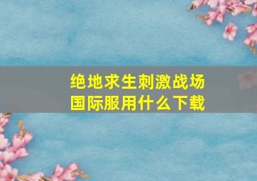 绝地求生刺激战场国际服用什么下载