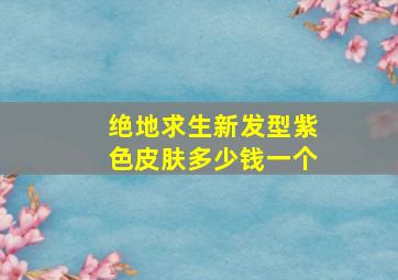 绝地求生新发型紫色皮肤多少钱一个