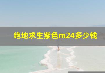 绝地求生紫色m24多少钱