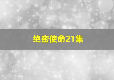 绝密使命21集