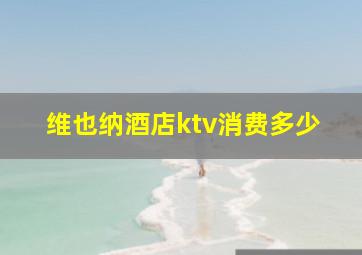 维也纳酒店ktv消费多少