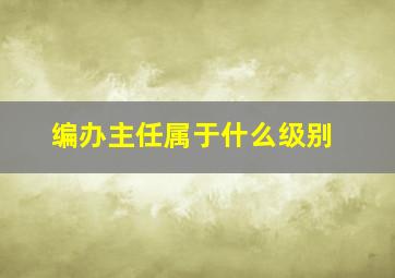 编办主任属于什么级别