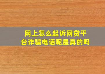 网上怎么起诉网贷平台诈骗电话呢是真的吗