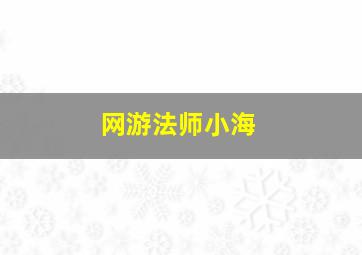 网游法师小海