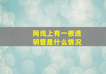 网线上有一根透明管是什么情况