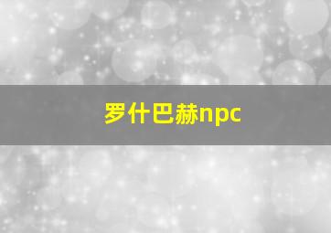 罗什巴赫npc