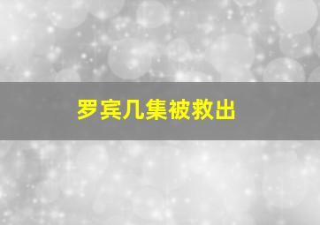 罗宾几集被救出