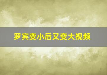 罗宾变小后又变大视频