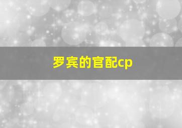 罗宾的官配cp