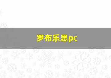 罗布乐思pc