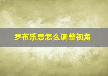 罗布乐思怎么调整视角