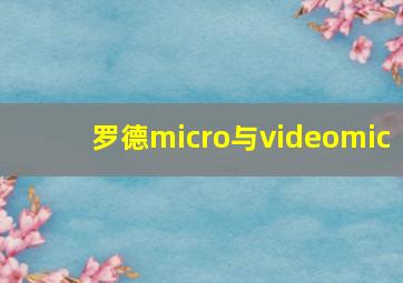 罗德micro与videomic