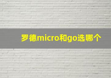 罗德micro和go选哪个