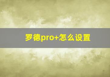 罗德pro+怎么设置