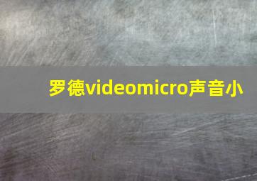 罗德videomicro声音小