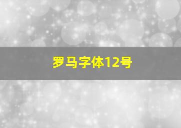 罗马字体12号