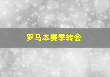 罗马本赛季转会