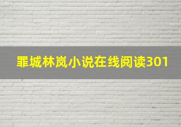 罪城林岚小说在线阅读301