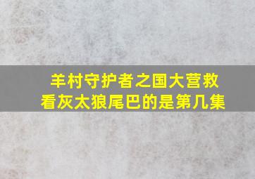 羊村守护者之国大营救看灰太狼尾巴的是第几集