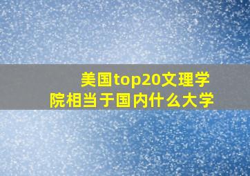 美国top20文理学院相当于国内什么大学