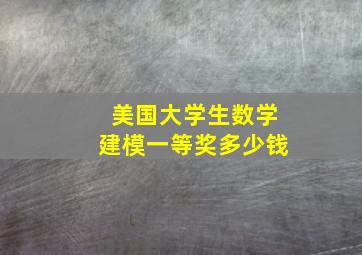 美国大学生数学建模一等奖多少钱