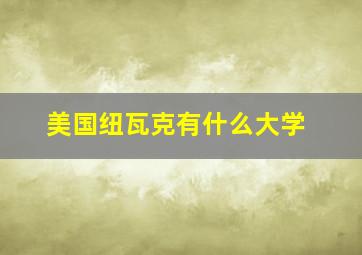 美国纽瓦克有什么大学