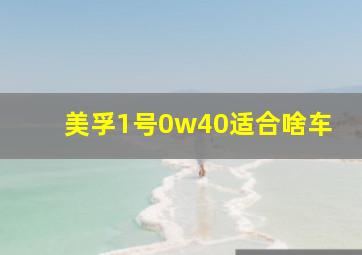 美孚1号0w40适合啥车