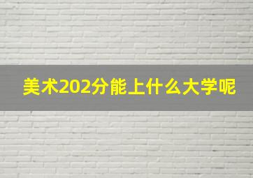 美术202分能上什么大学呢