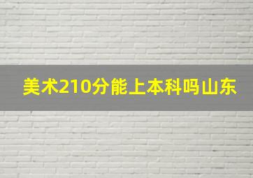 美术210分能上本科吗山东