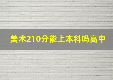 美术210分能上本科吗高中