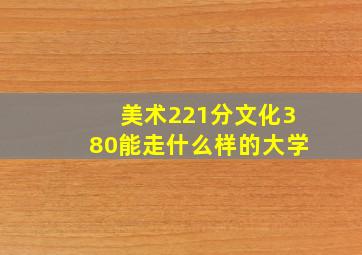 美术221分文化380能走什么样的大学