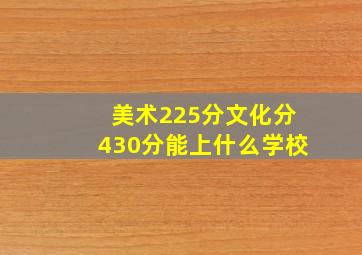 美术225分文化分430分能上什么学校