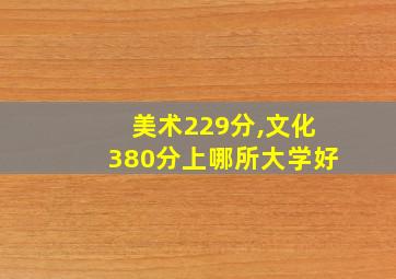 美术229分,文化380分上哪所大学好