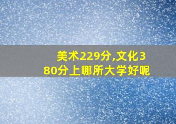 美术229分,文化380分上哪所大学好呢