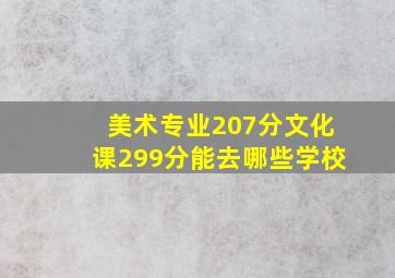 美术专业207分文化课299分能去哪些学校