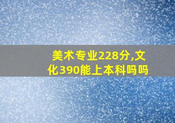 美术专业228分,文化390能上本科吗吗