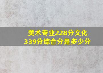 美术专业228分文化339分综合分是多少分