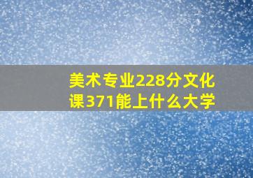 美术专业228分文化课371能上什么大学