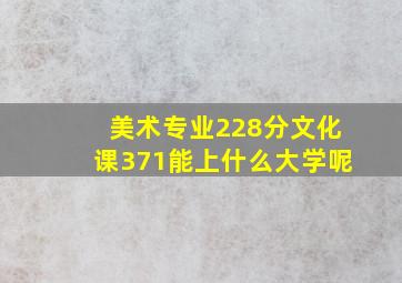 美术专业228分文化课371能上什么大学呢