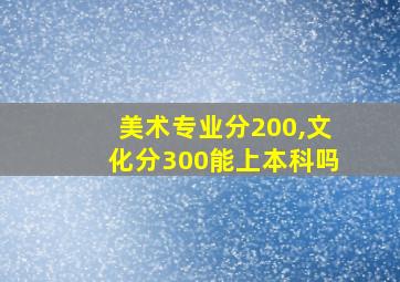 美术专业分200,文化分300能上本科吗