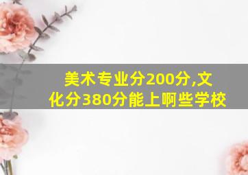 美术专业分200分,文化分380分能上啊些学校