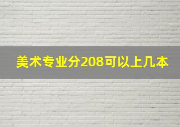 美术专业分208可以上几本