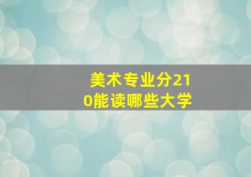 美术专业分210能读哪些大学